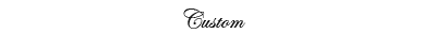 Custom Shopping Tours