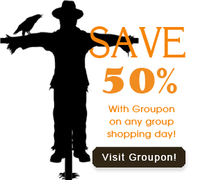 Save on any tour when purchasing at Groupon.